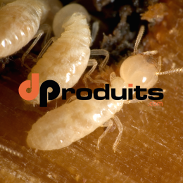 Anti-Termite Spécial Bois Prêt à l'Emploi