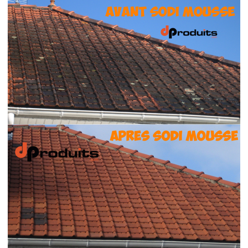 Anti-mousse toiture : combien de temps faut-il prévoir avant la