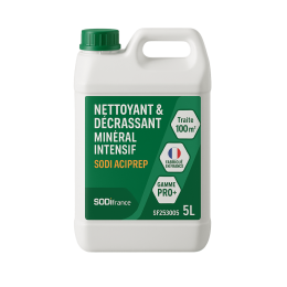 Nettoyant & D&eacute;crassant Min&eacute;ral Intensif