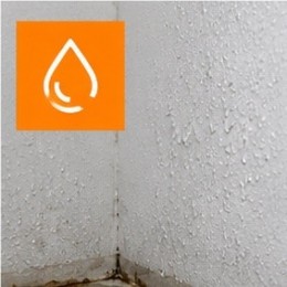 R&eacute;sine Epoxy Pi&egrave;ce humide