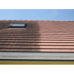 Produits Professionnels pour Nettoyer une Toiture